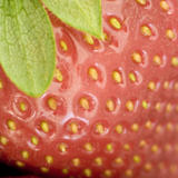 ripe red strawberry
